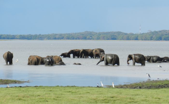 sri lanka