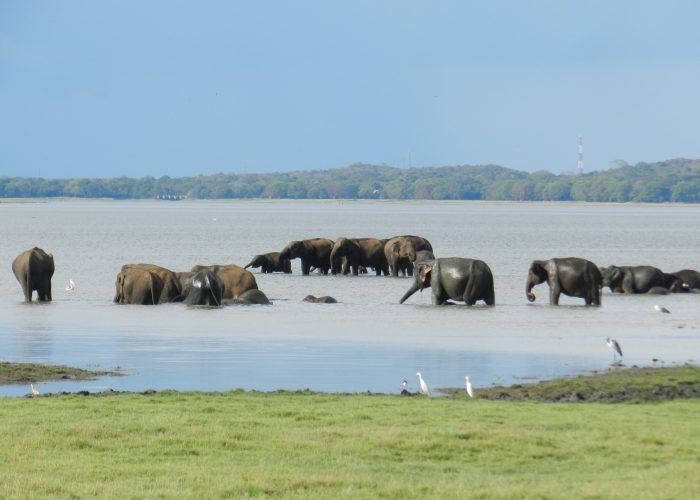 sri lanka