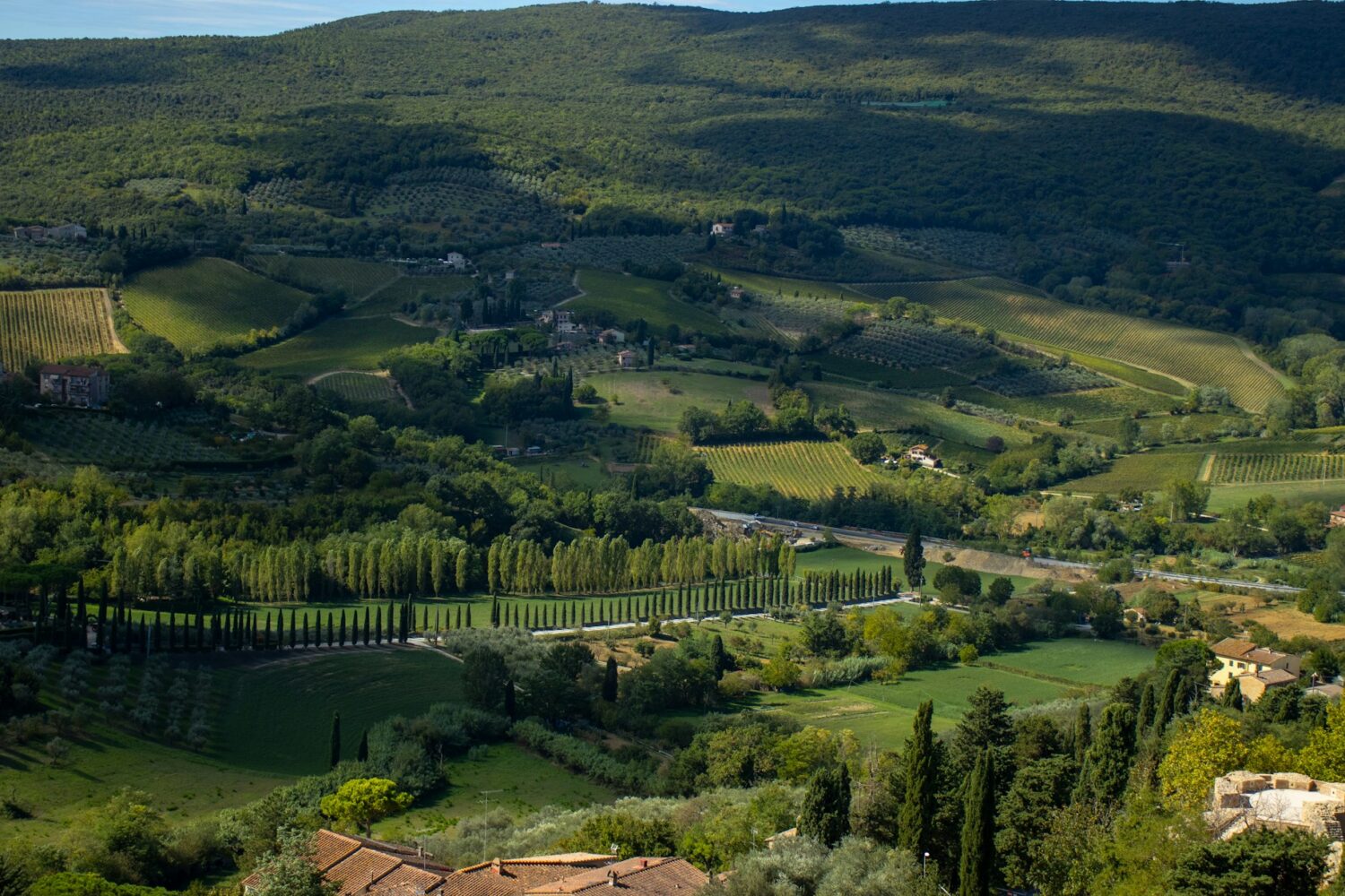 SIENA