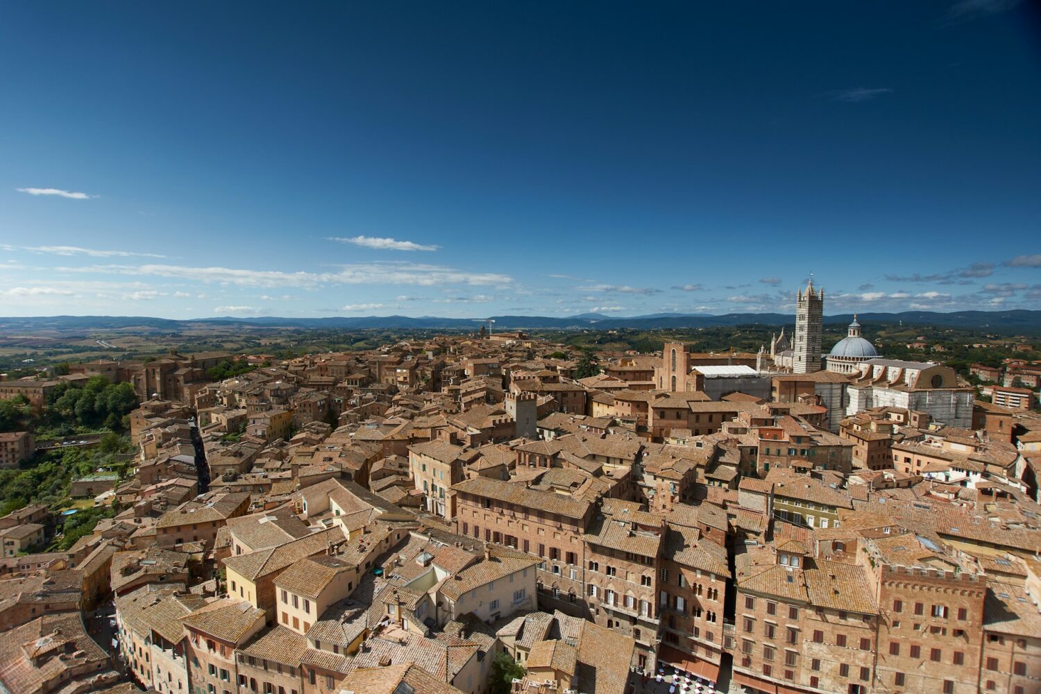 SIENA